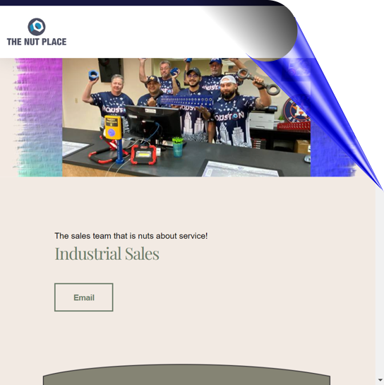 The Nut Place Website Screenshot